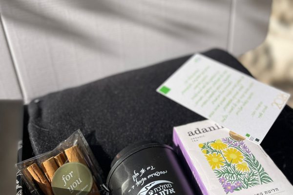 WhatsApp Image 2025-12-31 at 11.55.16